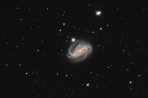 NGC613